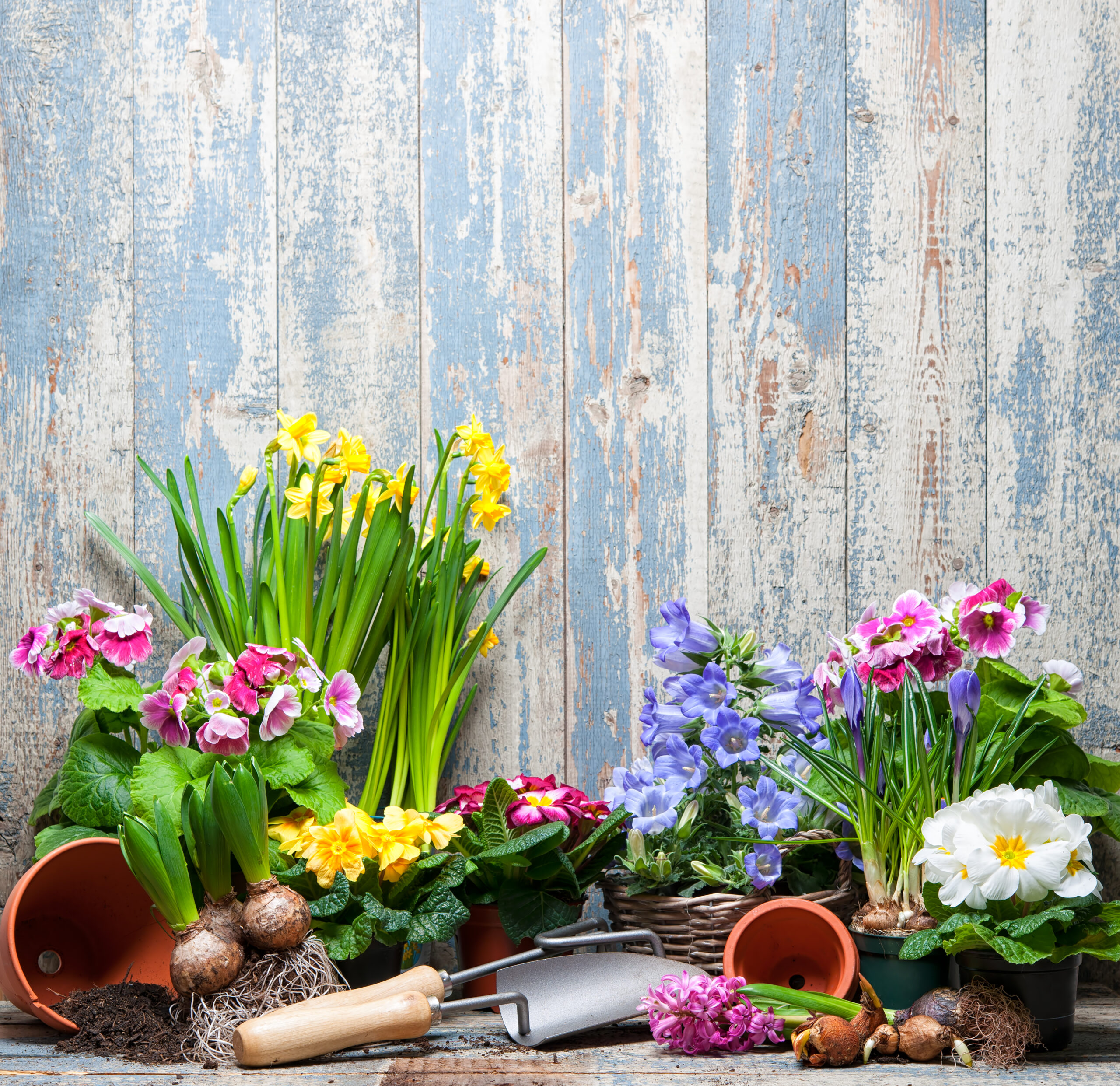 Gardening