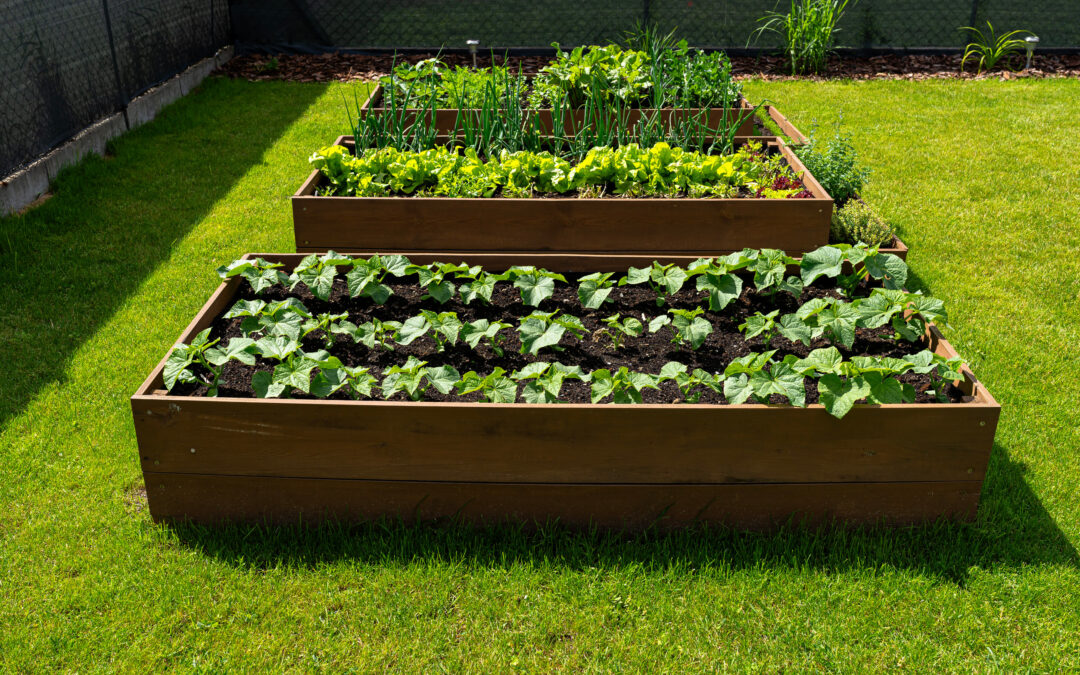 Was soll auf die Freifläche?