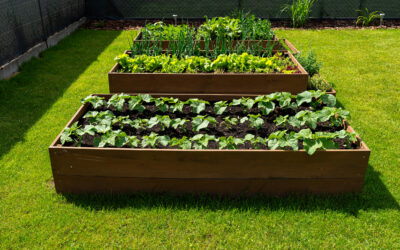 Was soll auf die Freifläche?